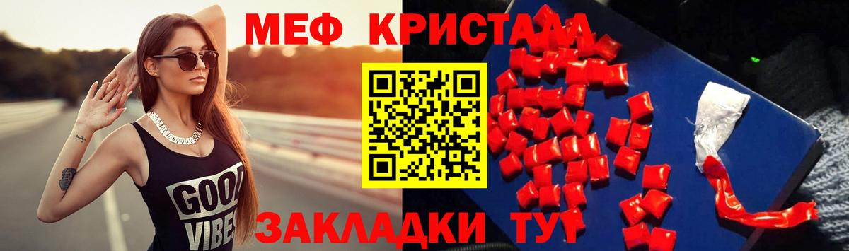 МЕФ  Новозыбков