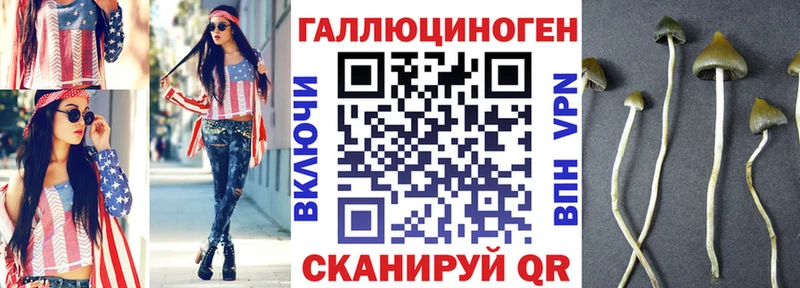 где можно купить наркотик  Новозыбков  Псилоцибиновые грибы MAGIC MUSHROOMS 