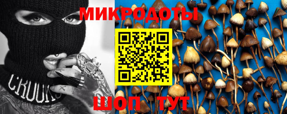 Галлюциногенные грибы Psilocybine cubensis Новозыбков