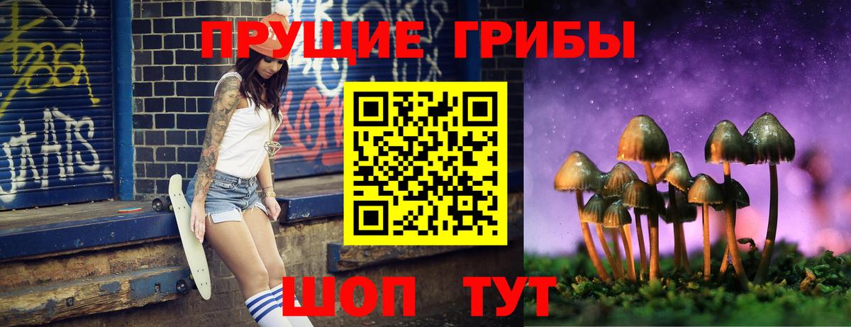 Новозыбков  Галлюциногенные грибы Psilocybine cubensis  Вход с VPN 