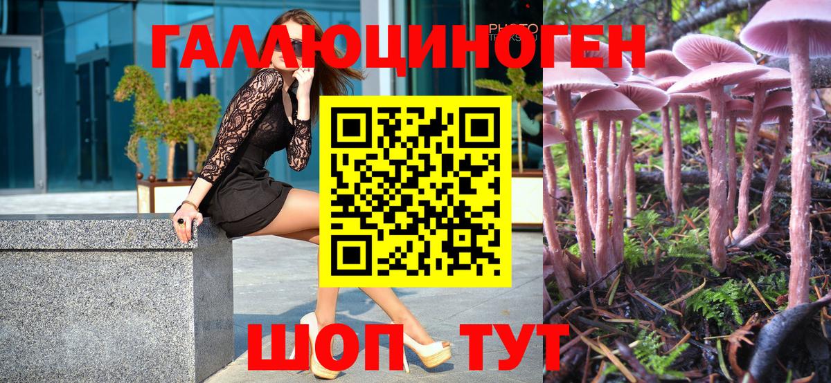 Псилоцибиновые грибы мицелий  наркота  Новозыбков 